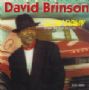 Slow Down (From The Run Around), David Brinston